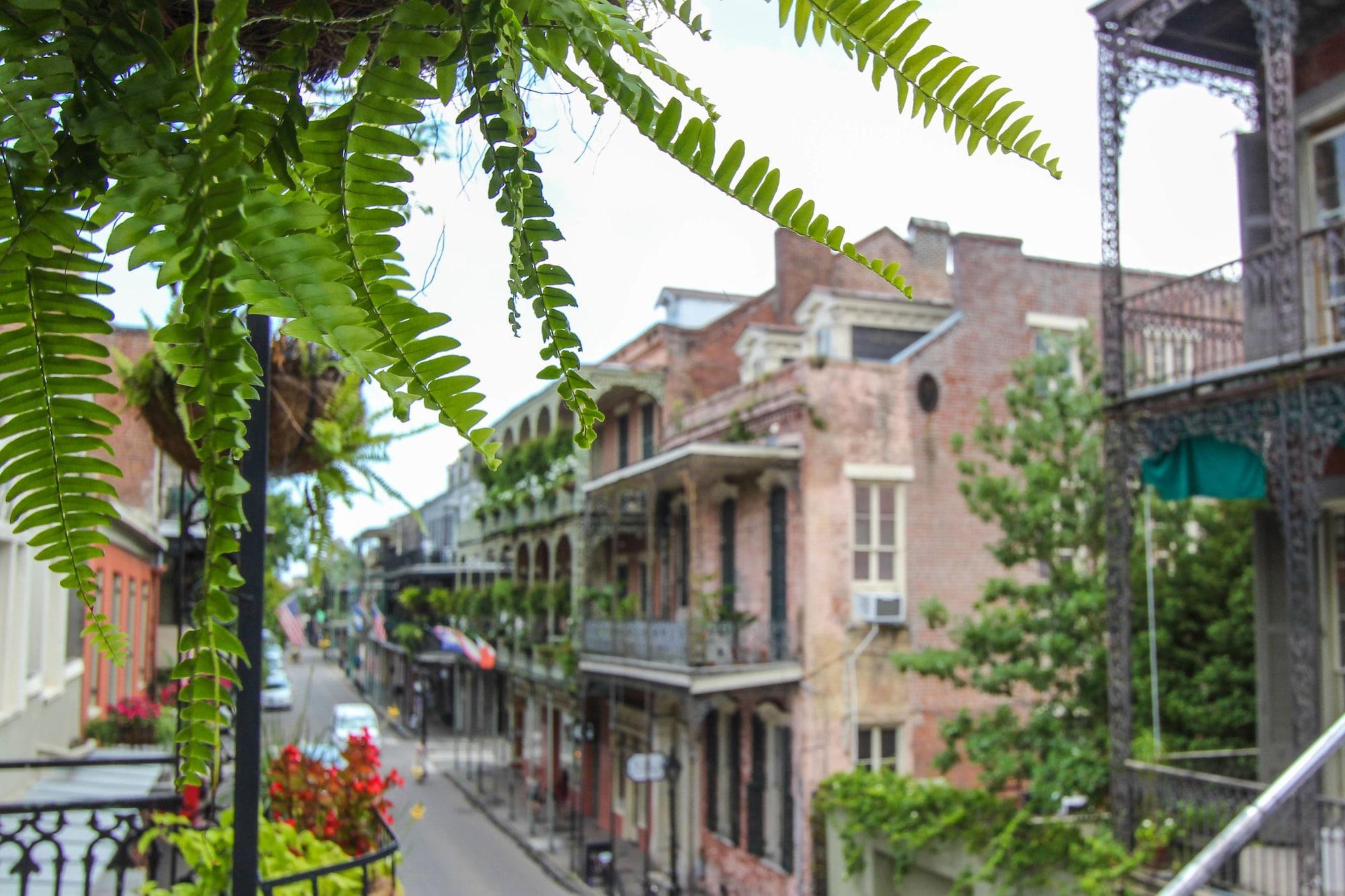 Andrew Jackson Hotel French Quarter Nova Orleães Exterior foto